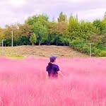 리미월드🌸 | 아이와 가볼만한 곳 · 여행 · 꿀팁