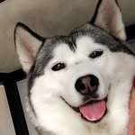 cute_booqoo