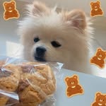 ggungdi_baking